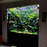 پالاداریوم، تراریوم، آبنما جنگلی