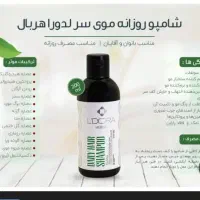 نصف قیمت|بلیت کنسرت|سبزوار, هفت تیر|دیوار