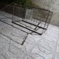تله قفس