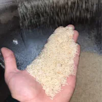 برنج هاشمی الک شده اعلا