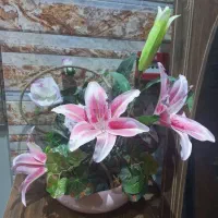 گلدان طلایی و گلدان مصنوعی