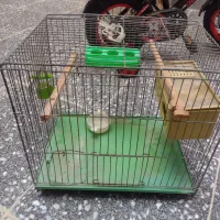 قفس پرنده|لوازم جانبی حیوانات|نسیمشهر, |دیوار