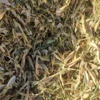 خرید فروش کاه نخود خرمنکوب (ساری نخود)