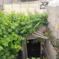 خانه-ویلایی-دو-طبقه