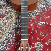 گیتار|گیتار، بیس، امپلیفایر|اسفراین, |دیوار