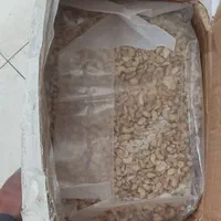 مغز گردو دندانه و بادام هندی ال پی|خوردنی و آشامیدنی|مشهد, ده دی|دیوار