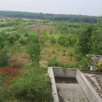 پلاک یک جنگل قطعه بندی شده سندششدانگ اقساط یک ساله|فروش زمین و ملک کلنگی|امامزاده عبدالله, |دیوار