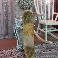 شاطر بربری هستم