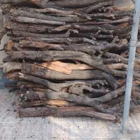 فروش درخت بادام (هیزم)