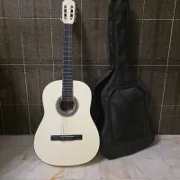 گیتار سالم ونو