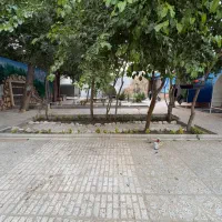 نیروی کباب گیر