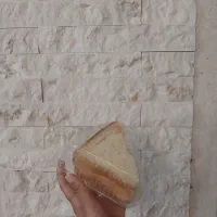 ساندویچ اولویه مرغ