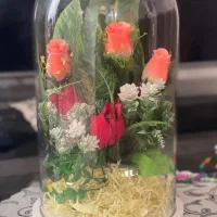 باکس گل شیشه ای فقط ۹۰۰