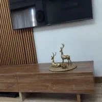 میز تلویزیون بسیار زیبا و دو منظوره|میز تلویزیون|شیراز, آزادی|دیوار