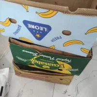 4 عدد کارتن موزی