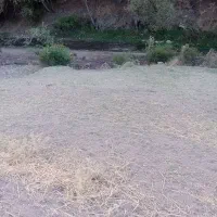 زمین درروستای گله ده رود