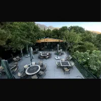 نیروی سالن کار /آشپزفرنگی