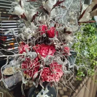 گلدان|گل مصنوعی|تربت‌حیدریه, ۴۵ متری|دیوار