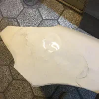 گلگیر سمت راننده 206 فابریک|قطعات یدکی و لوازم جانبی|نیشابور, مدرس|دیوار