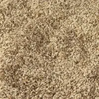 شورکاری تخمه وآجیل حرفه ای|عمدهفروشی|قرچک, شهرک صنعتی قرچک|دیوار