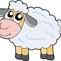 گوسفند زیر قیمت بازار