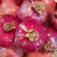 انار درجه یک رباب قصردشتی دانه قرمز میخوش|خوردنی و آشامیدنی|شیراز, میرزاکوچک خان|دیوار