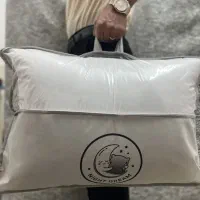 بالشت اقتصادی
