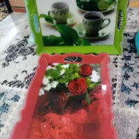 سینی وظروف آشپزخانه تمیزوسالم