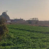 زمین ۱۰۰۰ متر واقع در شهر میبد