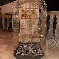 قفس بزرگ (کاسکویی)