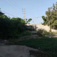 باغ در منطقه زیبادشت محمدشهر|فروش زمین و ملک کلنگی|محمدشهر, زیبادشت|دیوار