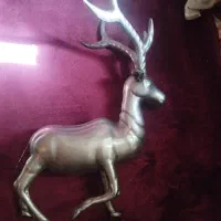 لوازم علامت گوزن پا شل غزال پرشی وزنگ