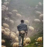 نیازمند چوپان با خانواده