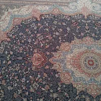 فرش|فرش|اسدآباد, |دیوار