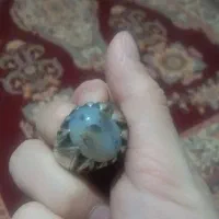 خریدارید