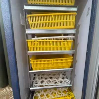 دستگاه جوجه کشی ۲۱۰عددی|لوازم جانبی حیوانات|بابل, |دیوار