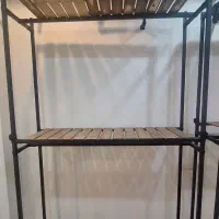 رگال