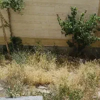 فروش-زمین