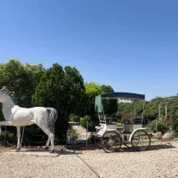 باغ تالار نامزدی عقد عروسی تولد همایش و اجتماعات