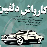 استخدام نیروی کار در کارواش دلفین