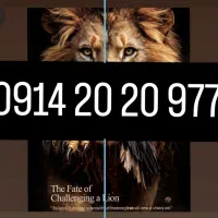 سیم کارت رند 0914 آذربایجان