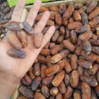 خرمای لواشکی پیارم|حراج|جهرم, |دیوار