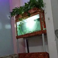 بشکه فلزی .آکواریوم .تانکرآب فلزی.روروئک