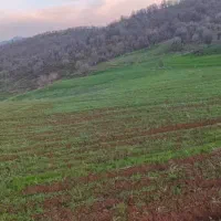 زمین خام سر جاده اصلی 3 طرف باز|فروش زمین و ملک کلنگی|آرمرده, |دیوار