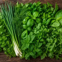 سبزی تازه و روز خورد شده خوردن بسته بندی