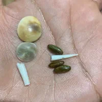 مهره|کلکسیون اشیاء عتیقه|سراوان, |دیوار