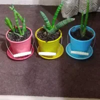 ست گلدان