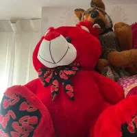 خرس بزرگ و گوگولی|اسباب‌‌بازی|شیراز, تاچارا|دیوار