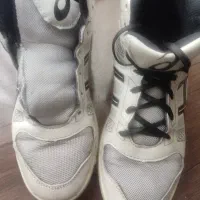 کفش والیبال و بسکتبال