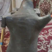 دو عدد نیهمبان برای فروش هر دو تزمینی